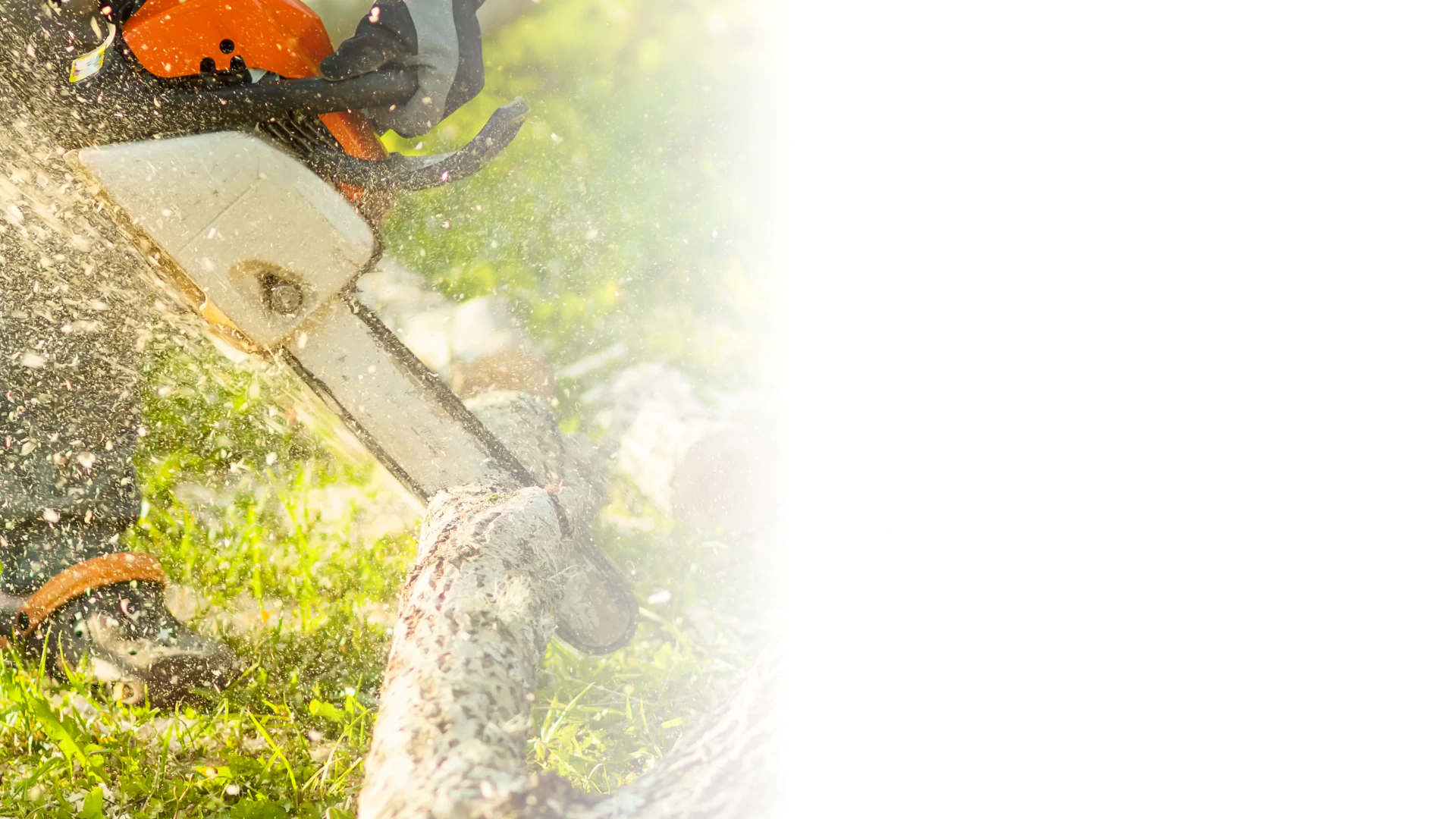 What We Do Background Image